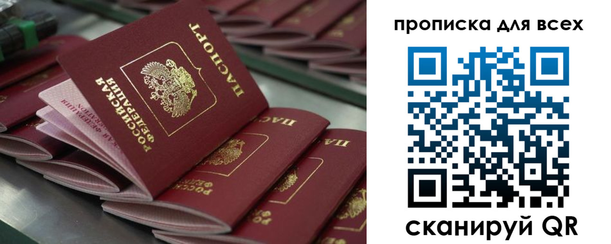 найти адрес прописки в Купино
